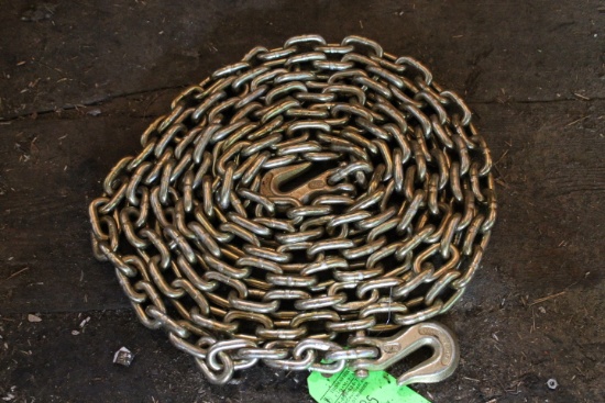 20' Chain w/ Hooks