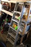 (2) Aluminum Step Ladders