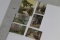 Miniature Colorized Wallace Nutting Prints