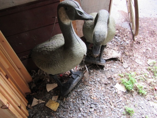 (2) Geese Rubber  Decoys