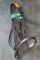 Leather Headstall w/Cavesson