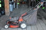 Ariens 21