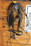 Driving Bridle W/ Blinders & Snaffle Bit