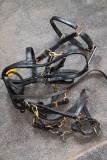 (2) Black Leather Halter Bridles