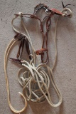 Clinton Anderson Training Bridle w/ D-Ring Snaffle Bit & Reins & Handy Stick