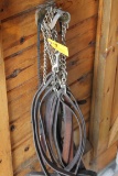 (6) Leather/Chain Lead Ropes