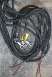 (3) Poly Lead Ropes w/ Rotatable Safety Snap