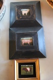 (3) Framed Animal Miniature Paintings