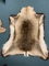 Kangaroo Hide