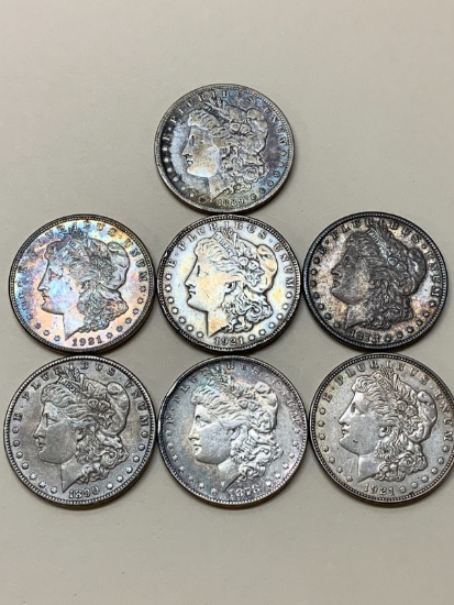 (7) Assorted U.S. Morgan $1.00