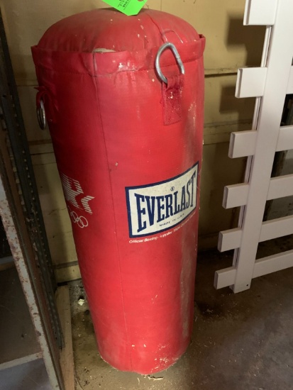 Everlast Punching Bag