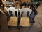 (4) Black Painted Dining Chairs