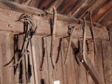 Asst. Antique Horse Harnesses & Tools