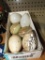 (15) Collectible Eggs