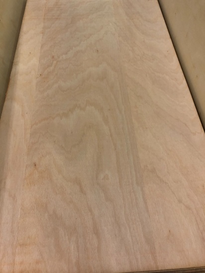 (10) 4' x 8' x 1/4" Luan Plywood