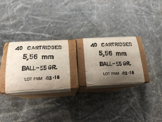 (80) FNM 5.56 Cartridges