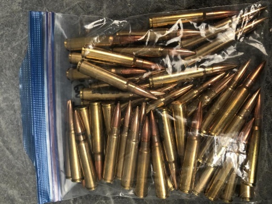 (50) Argentine 7.65X53 Mauser Cartridges