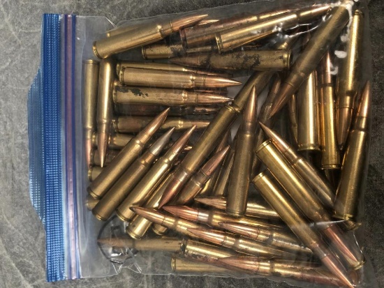 (50) Argentine 7.65X53 Mauser Cartridges