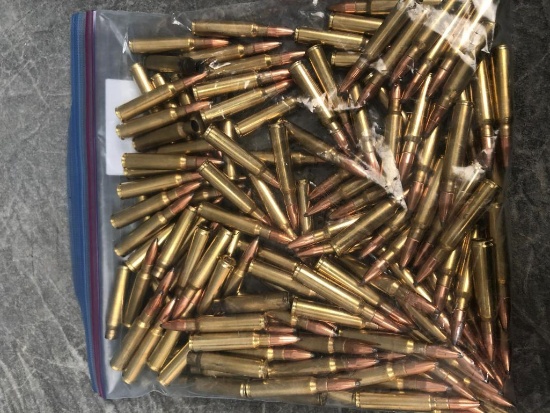 (124) 7.35X51 Cartridges