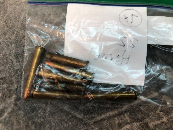 (7) .22 Hornet Cartridges
