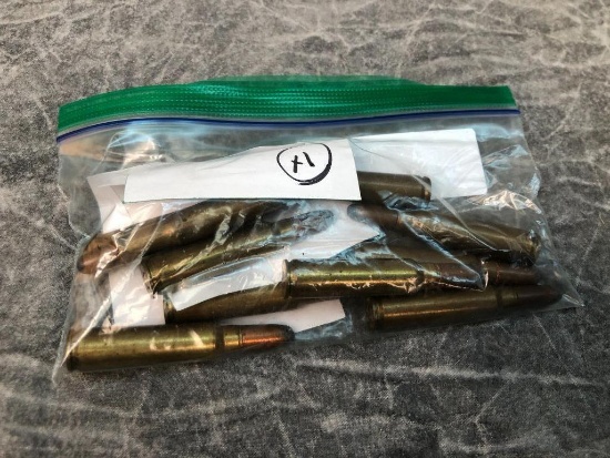(10) Savage Cal. Cartridges