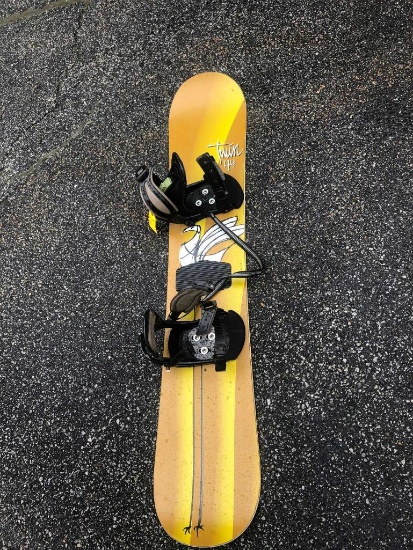 Twin 44 Snowboard