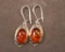 Pair of Amber Silver Earrings with Hoops