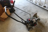 Craftsman Edger