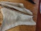 Set of Leather Chaps Small Size