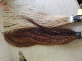 (2) Tail Extensions