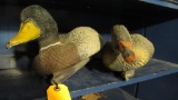 (2) Poly Duck Decoys