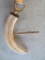 Walrus Tusk Bottle Opener With Corkscrew