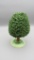 Wendt & Kuhn Ornamental Tree