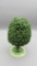 Wendt & Kuhn Ornamental Tree