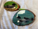 (3) Loon Plaques