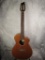 Breedlove PSCN01NCERCMA Acoustic Electric Guitar