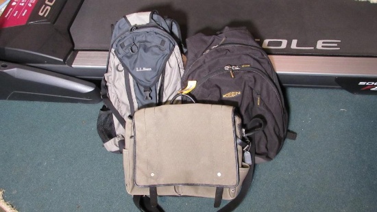 (3) Backpacks & Travel Bags