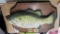 (2) Big Mouth Billy Bass Redneck Collectible NIB