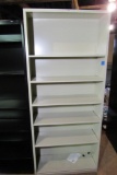 Haun Adjustable Shelf Storage Cabinet
