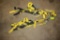 (2) Full Body Harnesses