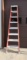 Louisville 8' Step Ladder