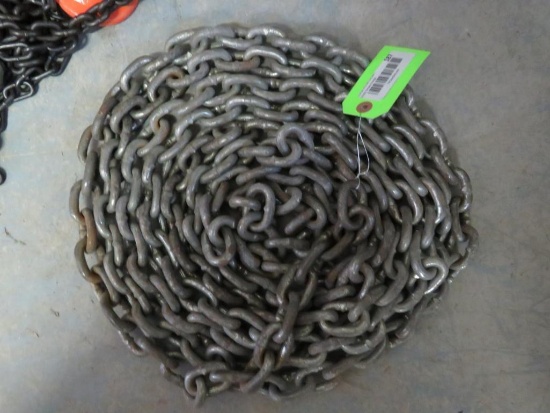 (1) 19' Chain w/ No Hooks