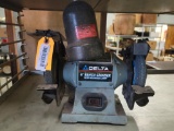 Delta 6