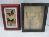 Framed Butterfly & Crawdads