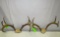 (2) Sets of Deer Antlers