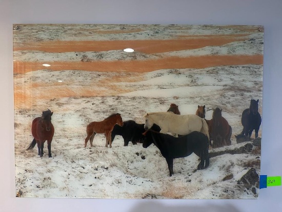 Picture on Plexiglass "Wild Horses in Snow"