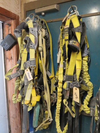 (8) Safety Harnesses