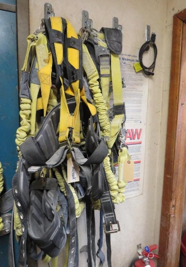 (6) Safety Harnesses