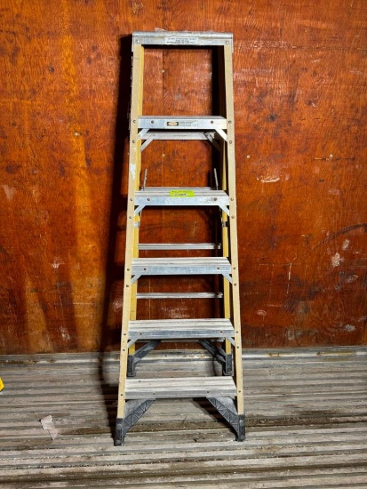 Werner 6' A-Frame Ladder
