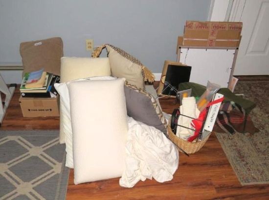 Asst. Throw Pillows, Clothes, Decoratives & Etc.